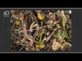 Can We Compost Dead Bodies?