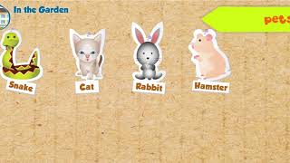 Animais de Estimação - Pets vocabulary