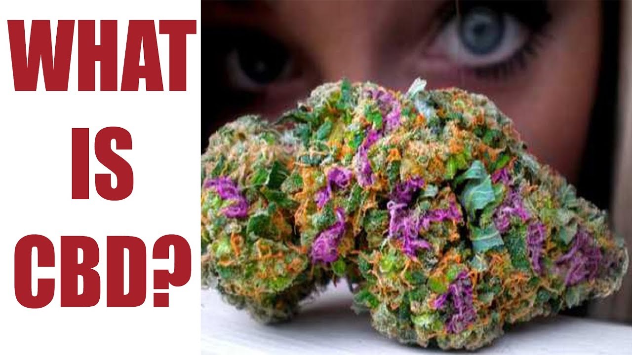 Medical Marijuana Legislation: Why It Should Matter To You