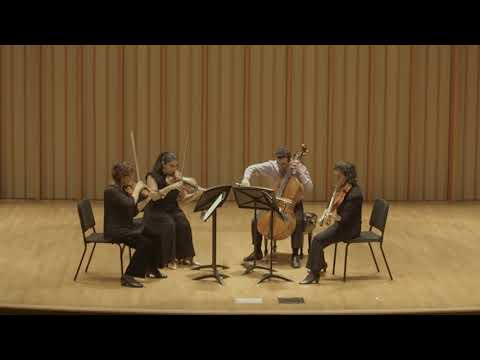 Shostakovich: The 15 String Quartets Shostakovich: The 15 String Quartets
