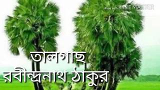 তালগাছ বাংলা কবিতা l রবীন্দ্রনাথ ঠাকুর l Talgach Bengali Recitation l Rabindranath Tagore