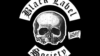 Watch Black Label Society Stronger Than Death video