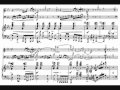 Schubert - Piano Trio in E-flat D929 - II. Andante con moto (with score)