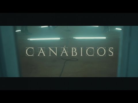 youtube player