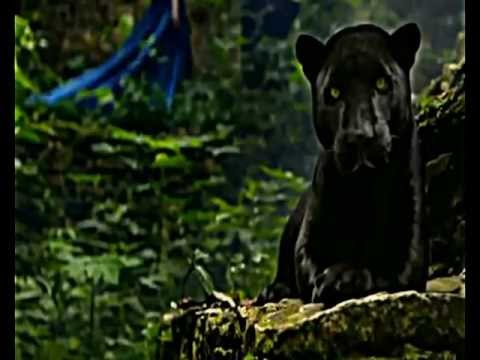 LETRA DE LA CANCION AMOR PERDIDO letra de la cancion amor perdido: