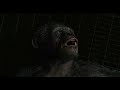 Dawn Of Planet Of Apes Funny Caesar S Bellow Koba Dawn Of Planet Of Apes Funny Caesar S Bellow Koba