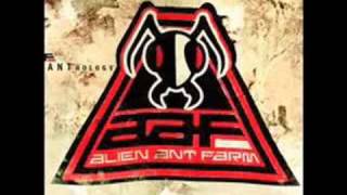 Video Calico Alien Ant Farm