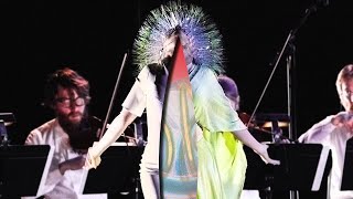 Björk: Lionsong (Vulnicura Strings Version)