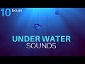 Deeply Relaxing Underwater Sounds - 10 Hours | Deep Ocean Sounds - Sleep, Relax, Study, Meditation