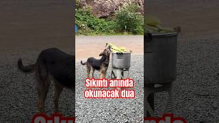 Sıkıntı Anında Okunacak Dua