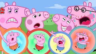 Peppa Pig's Whole Family Pregnant? | Peppa Pig Animation