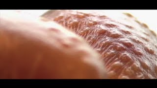 The Simple Way to Get Crispy Chicken Skin