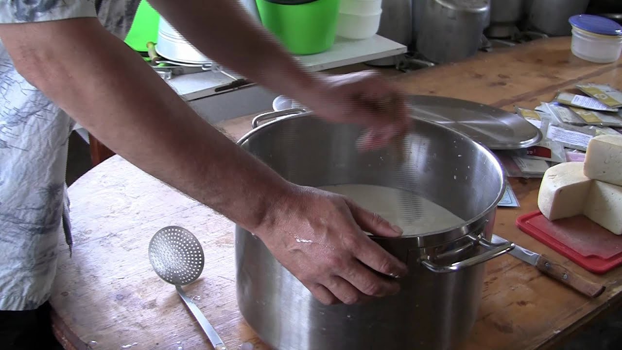 Сыр из козьего молока в домашних условиях плавленных Сыр из козьего молока в домашних условиях плавленных