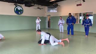Inverted Armbar from top turtle position