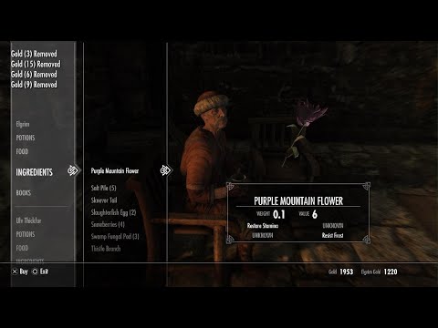 Why you should be an alchemist in Skyrim