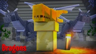 IS THE NEW DRAGON BABY COMING SOON? - Minecraft Dragons