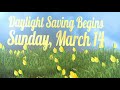 Spring Forward - Daylight Saving Time Begins March 14