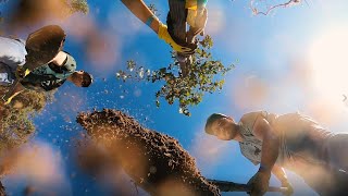 Plant It Forward: A Celebration of Kate Sessions and the Trees of Balboa Park (2019)