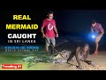 Real Mermaid caught in Sri Lanka | TRIP PISSO