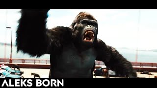 Aleks Born - Scum (Phonk Music) _ Rise Of The Planet Of The Apes