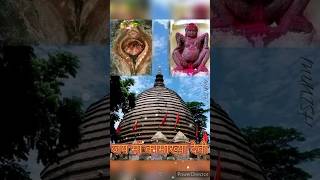 यह हत ह मत क यन क पज कमखय दव मदर