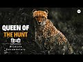 Cheetah - हिन्दी डॉक्यूमेंट्री | Wildlife documentary movie in Hindi, Discovery