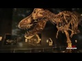 Видео How the Dinosaurs Died - First Apocalypse - History Channel Full Documentary