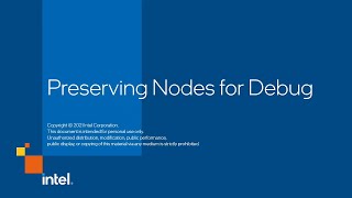 Preserving Nodes for Debug