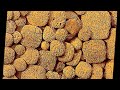 Echoes of Ancient Ugarit