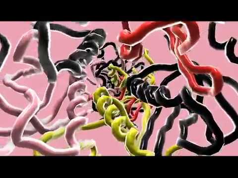 MOLECULAR FLIPBOOK