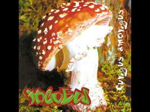 Incubus - Psychopsilocybin