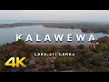 Kalawewa Lake, Sri Lanka / The Art of Nature - Cinematic Landscape Drone Footage