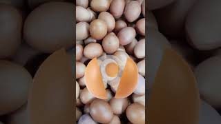 Surprise Egg Reveal Warm Waterproof Baby Jumpsuit