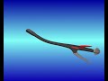 Anastomosis