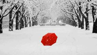 Watch Susan Wong Umbrella video