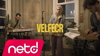 Baturalp - Velfecr