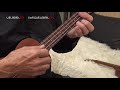 "Michelle" für Ukulele mit Gesang