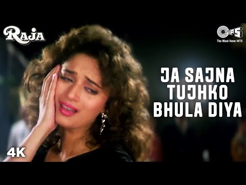 Jaa Sajna Tujhko Bhula - Raja | Madhuri Dixit & Sanjay Kapoor...