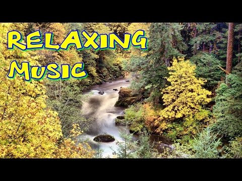 Релаксация музыка - индийская, медитация, море, чтобы узнать, мечтать