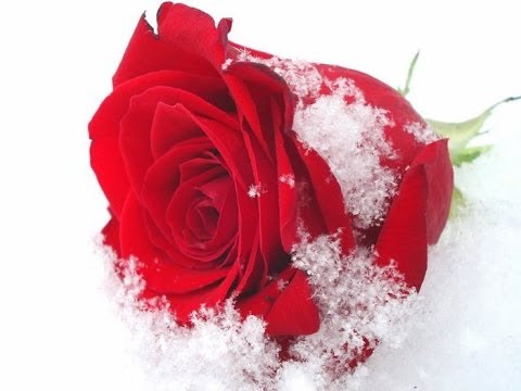 Подарок мужчина 33 года