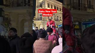 Baku New Year 2025 Baku City