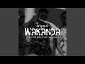 Wakanda (Original Mix)