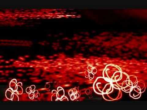 Dust Video