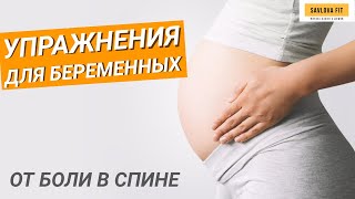 Упражнения Для Спины Во Время Беременности.