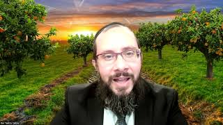 Behoukotai 5782 - Rav Yaakov Gabay