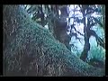 The Secret Life Of Plants Full