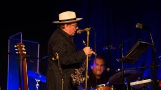 Watch Van Morrison Orangefield video