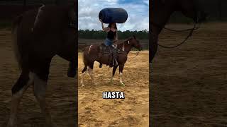 Caballo Mansito .Karoliny