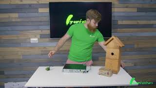 How to Connect Wired Bird Box Cameras to a Recorder