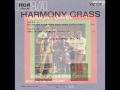 Harmony Grass - Stand On Your Own Two Feet